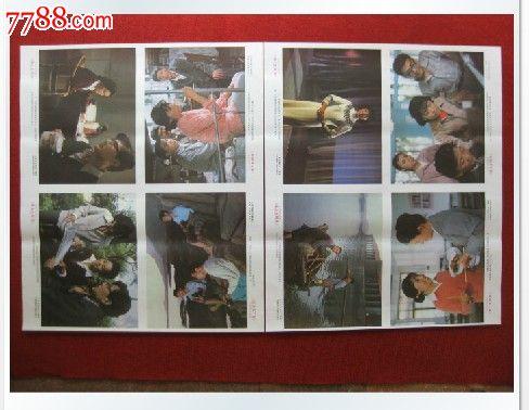 学信网学历认证报告编号忘了